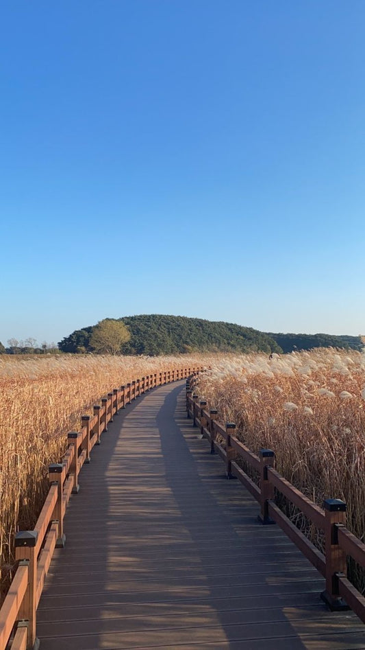 AIRBNB, se lancer en solo, bonne ou mauvaise idée ?