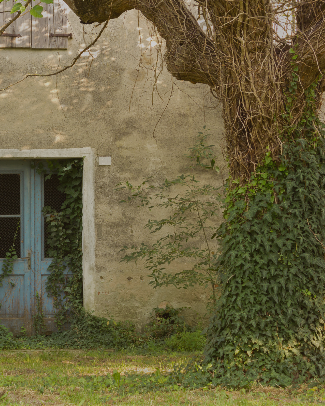 Location courte durée à Melun : quels logements ont le plus de potentiel ?